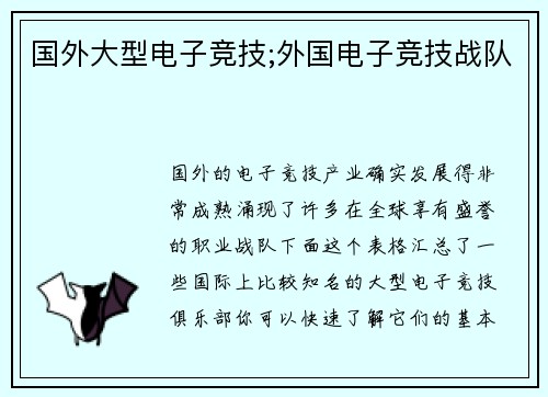 国外大型电子竞技;外国电子竞技战队